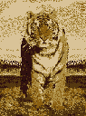 Carpet for living room/bedroom, Johnnesburg Tiger Power, PP Heatset, OW Topaz 2987,CP5,X