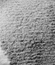 Carpet for living room/bedroom,  Helsinki Geometric Grey, BCF,OW  Scandic 2663,KS2,E