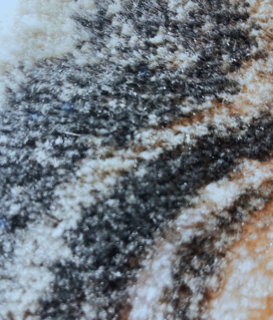 Carpet for living room/bedroom, Milano Marble Grey, PP Heatset, OW Estella 5571,OK1,E