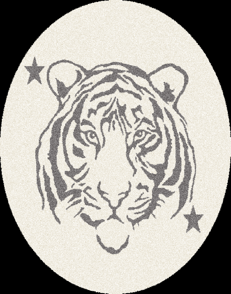 Carpet for Kids room, Tiger Circle, PP Extra Soft Frize, OW Giovanni Kids 7352,QH5,W, 80 X 80 CM