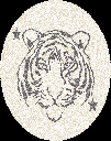 Carpet for Kids room, Tiger Circle, PP Extra Soft Frize, OW Giovanni Kids 7352,QH5,W, 80 X 80 CM