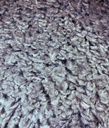 "Carpet for living room/bedroom, Berlin Shag Grey, PP Frize Shag, OW,520,LH4,E.