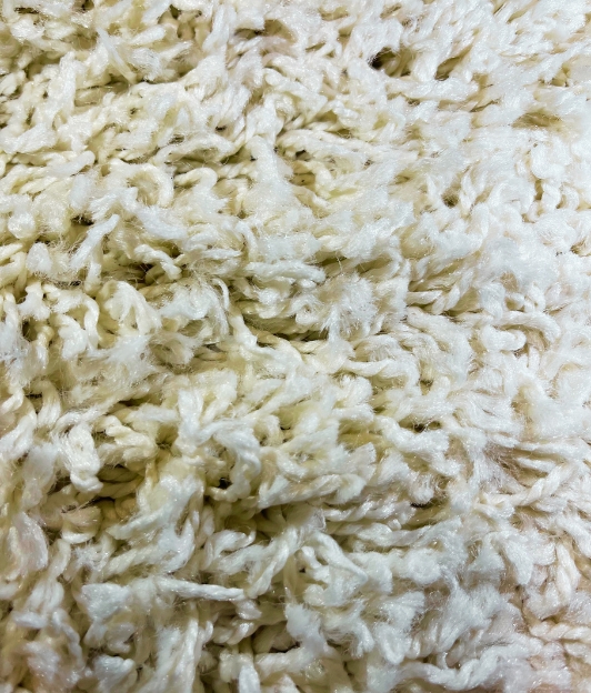 Carpet for living room/bedroom, Vienna Ivory Shag, PP Frize, OW, 520,LH4,W