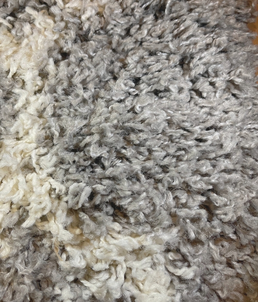 Carpet for living room/bedroom, Bern Geometric Grey PP Frize Shag, OW,509,LH4,H
