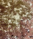 Carpet for living room/bedroom, Johnnesburg Tiger Power, PP Heatset, OW Topaz 2987,CP5,X