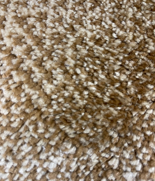 Carpet for living room/bedroom, Nairobi Tiger Skin, PP Heatset, OW Topaz 166,CP5,Y