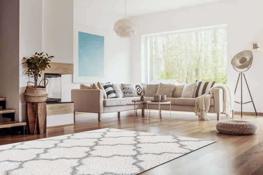Covor living/dormitor, Geneva Geometric Alb, PP Frize Shag, OW, 509,LH4,I