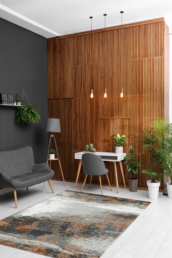 Covor living/dormitor, Finland Focus Multicolor,BCF,OW Scandic 6153,KS2,X