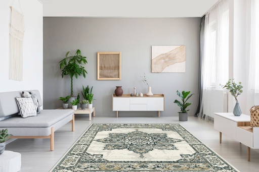 Carpet for living room/bedroom, Budapest Royal Beige, PP Heatset, OW Satchi 1331,GB4,V
